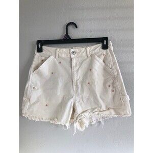 AE Boyfriend Carpenter Shorts Size 10